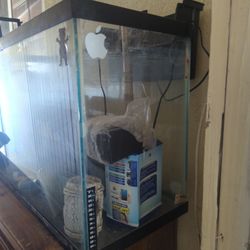  50 Gallon Fish Tank