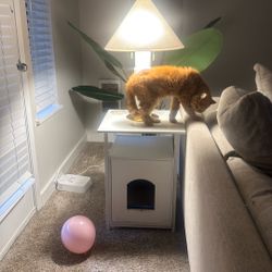 Cat Litter Box Night Stand With Tray 