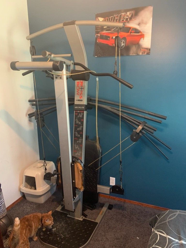 Exercise Equipment Like A Bowflex. Free. 