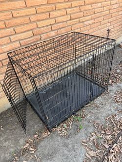 XL metal pet crate