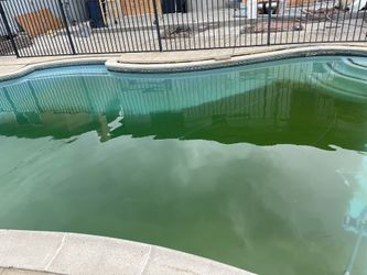 Swimming Pool / Alberca Water Problems