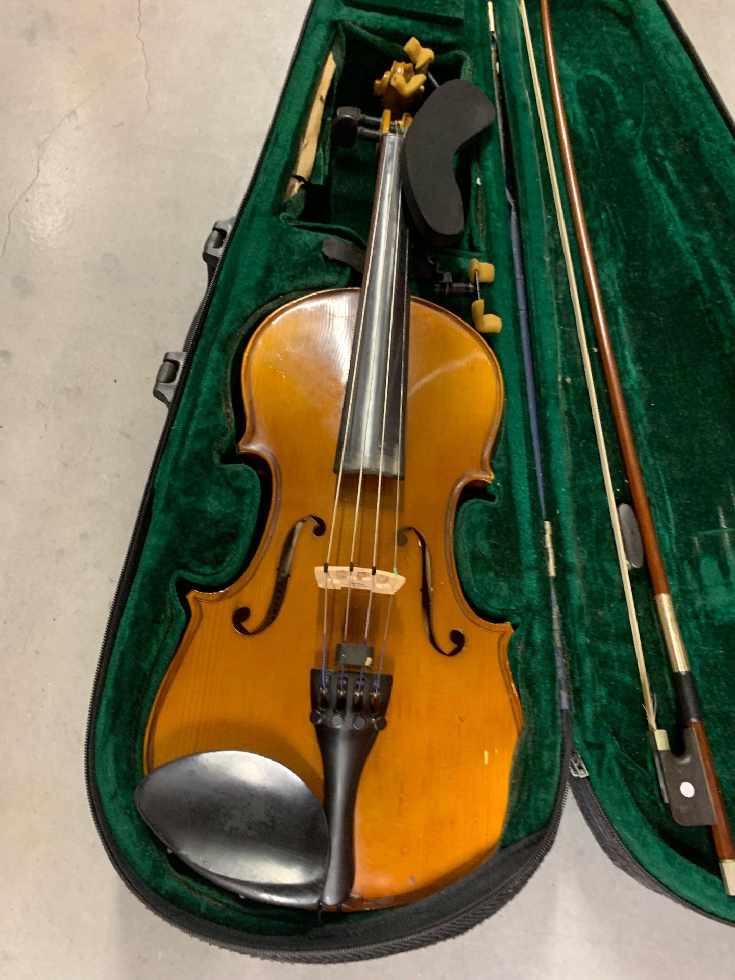 Violin