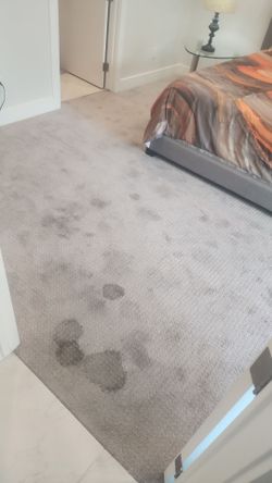Carpet C134n1ng