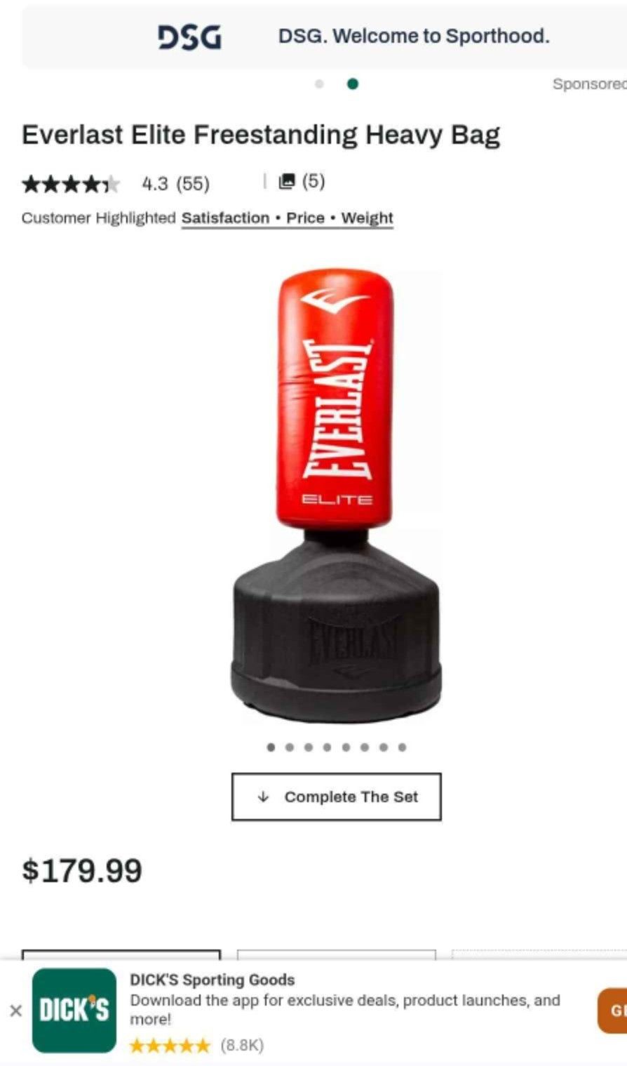 Everlast Punching Bag with Sand