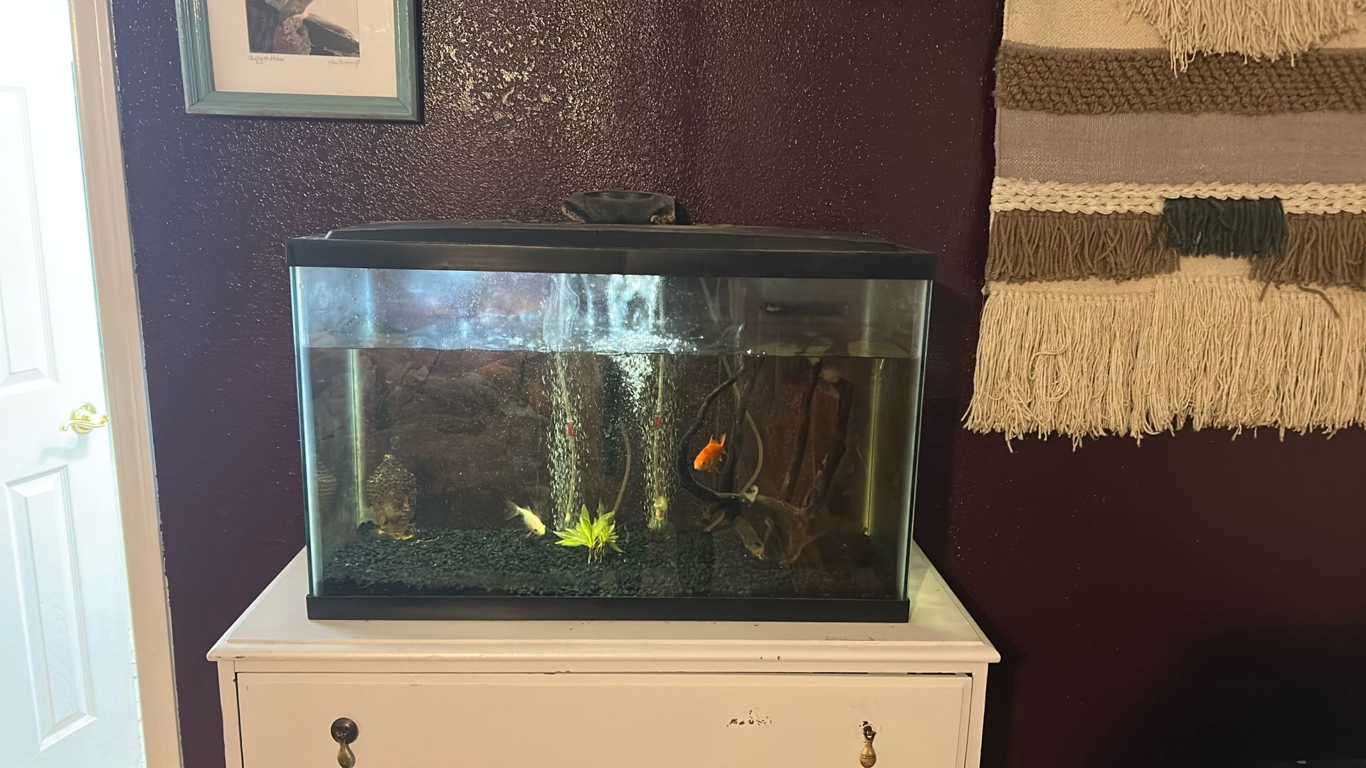 25 Gallon Fish Tank For Sale