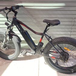 Aostirmotor Electric Bike 