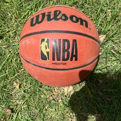 wilson basketball 