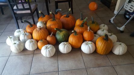 Pumpkins