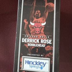 Chicago BULLS Bobbleheads- Derrick Rose ROY- Rookie Year 2008/09 & Joakim Noah 2011