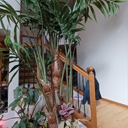 Faux Plant / Fake Palm Tree