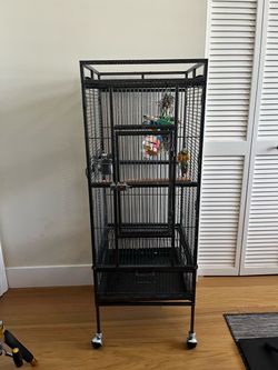 Bird Cages on Wheels.