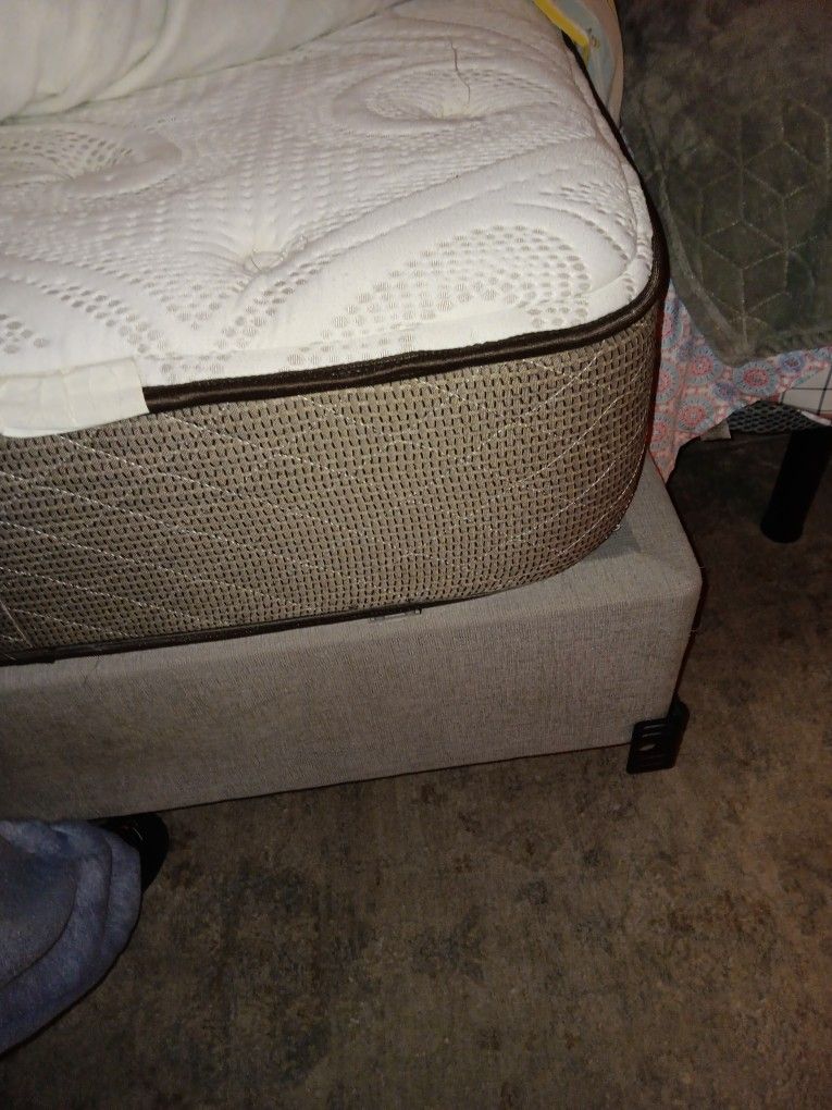 Adjustable Bed