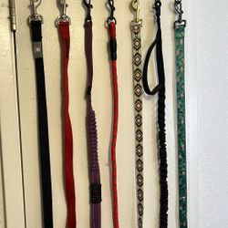 Dog Leashes