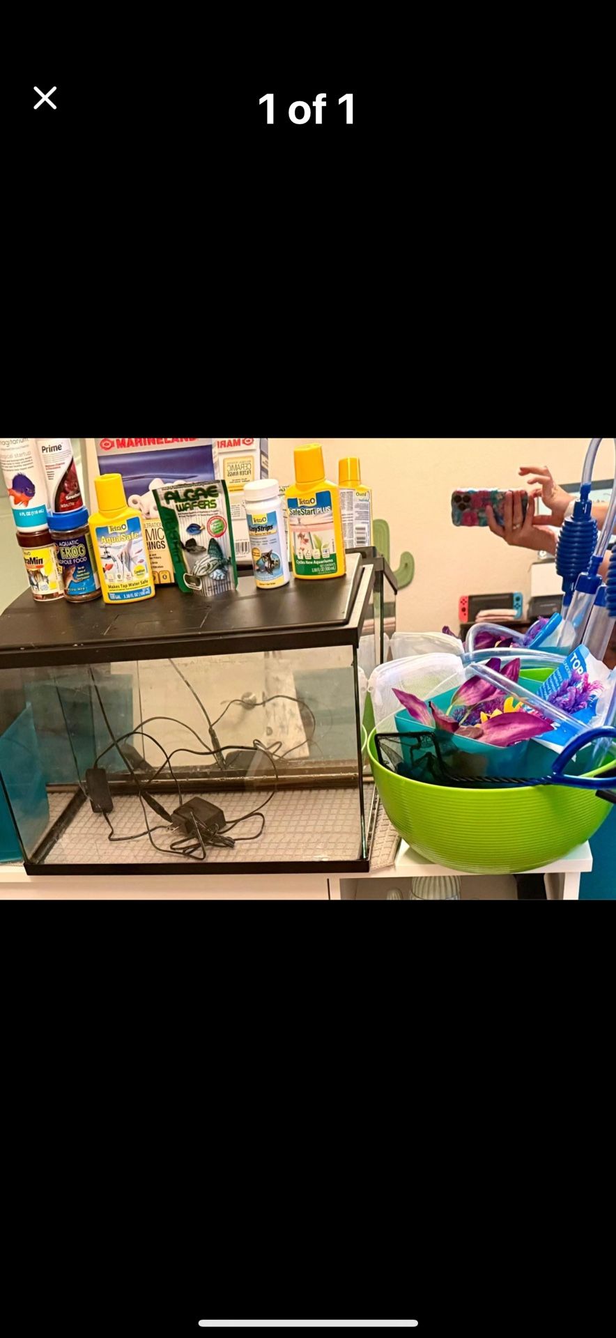 Full Fish Tank Set Up