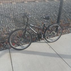 1992 Mt Shasta Backwoods Bike