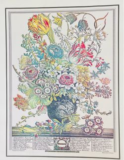 12 Months in Flowers