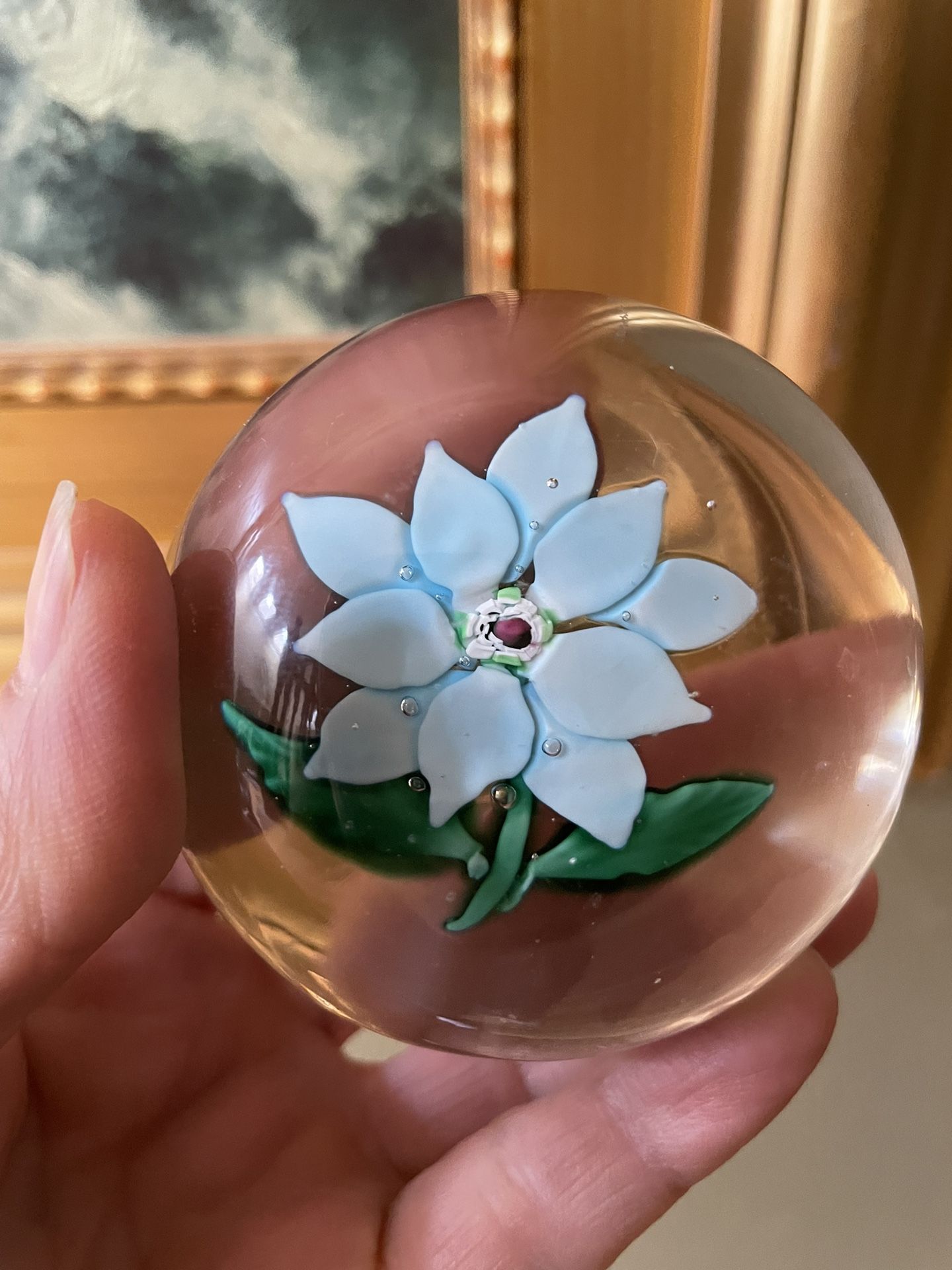 1972 Antique Sandwich Light Blue Poinsettia on Clear Ground with a Central 2 1/4”D