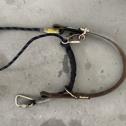 Cinch lok Climbing Fall Protection