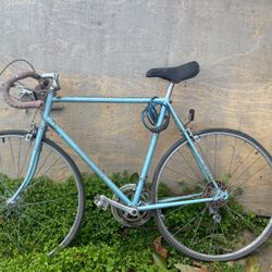 Schwinn bike