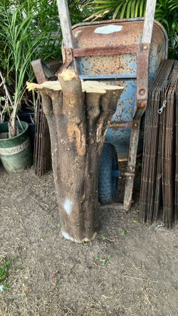 Free piece of tree trunk for wood crafter
