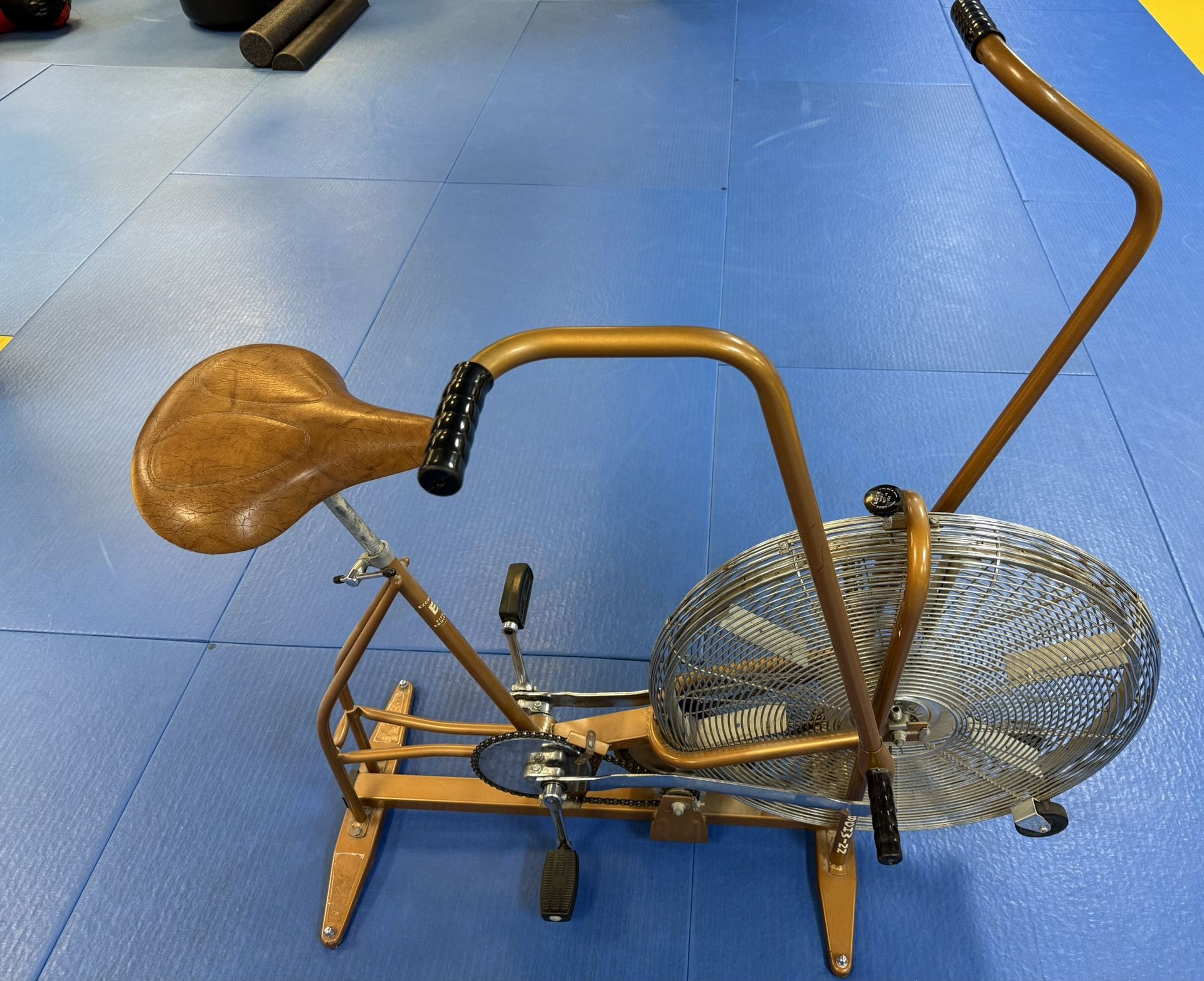 Schwinn airdyne Exercise Bike