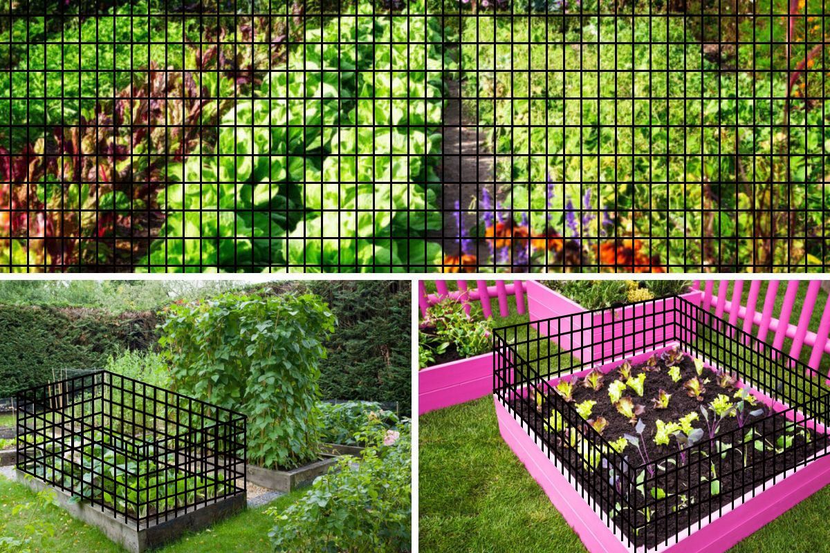 24inch x 50ft Black Vinyl Coated Hardware Cloth 2 X 3 16Ga Welded Wire Mesh fence, PVC Coated Welded Chicken Wire Fencing, Metal Garden Plant Fencing,