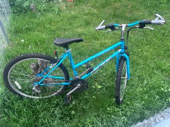 Mountain bike.