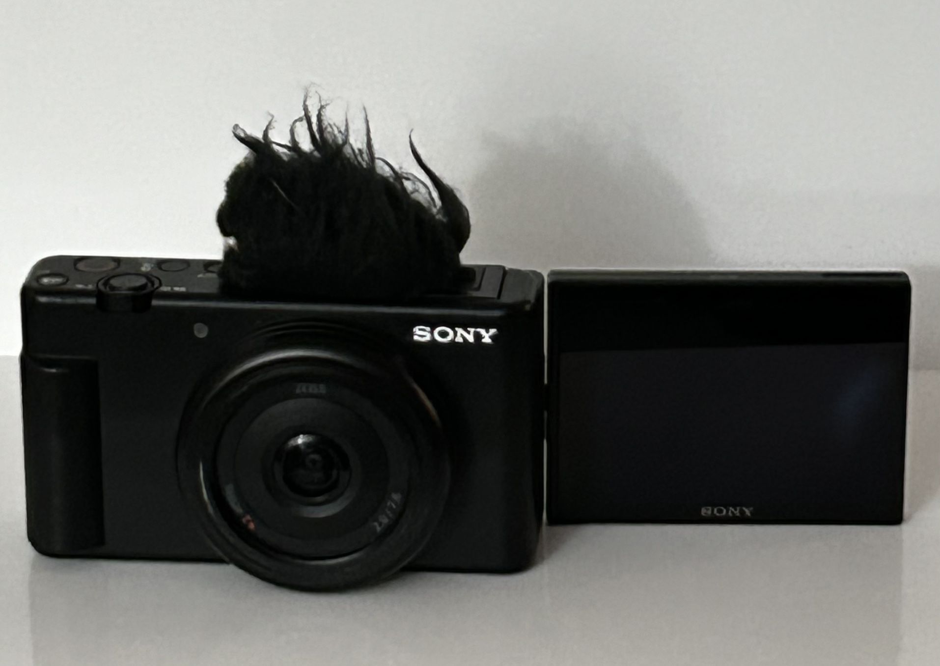 SONY Digital Camera ZV-1F