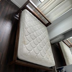 Queen Size Bed Frame $100
