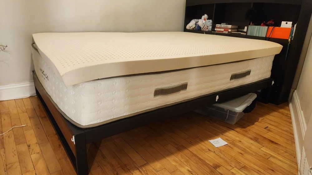 Avocado Green Mattress + Topper + Bed frame 