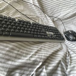Keyboard With Mouse