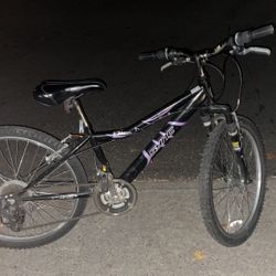 Sync Mountain Bike 