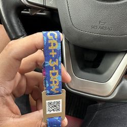 GA+ 3 Day EDC Orlando 