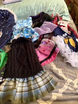 19 pc bundle dog items  $30