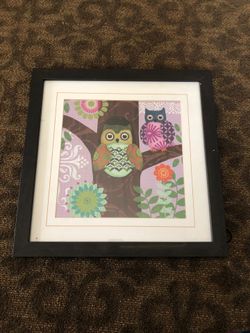 Owl picture