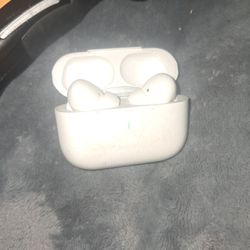 Apple Earphones