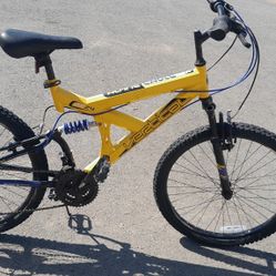 Lots Of Bicycles Tuned And Ready To Ride