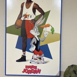 1992 Hare Jordan Picture
