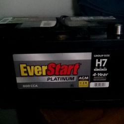 EverStart Battery Platinum H7