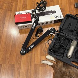 Focuseite, Rode , Rose K2
