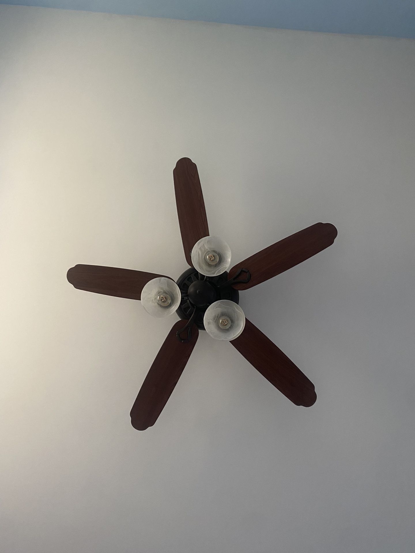  Ceiling Fan 