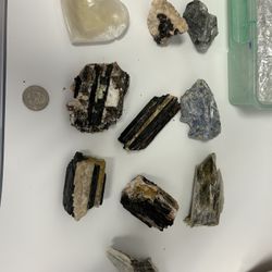 Gemstone Fossil Collection