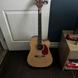 Giannini Guitar