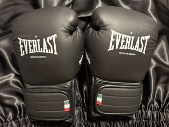 Everlast MX3 Prototypes 14oz 