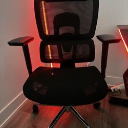 NearHub EC20 | Ergonomic Office Chair 