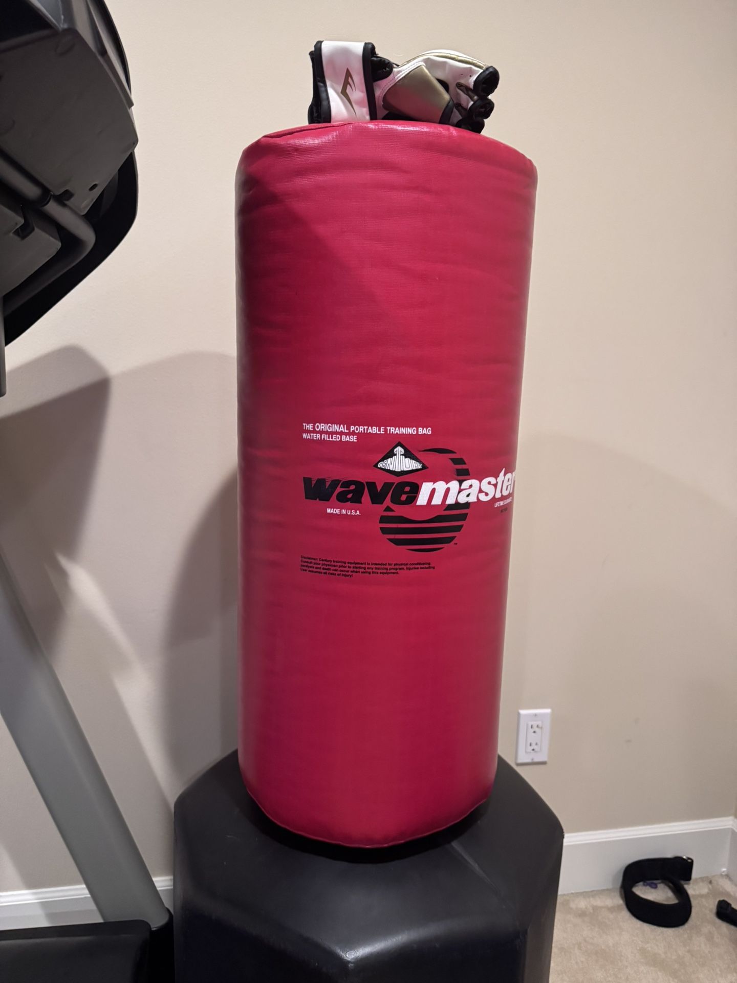 Punching Bag W/ Gloves 