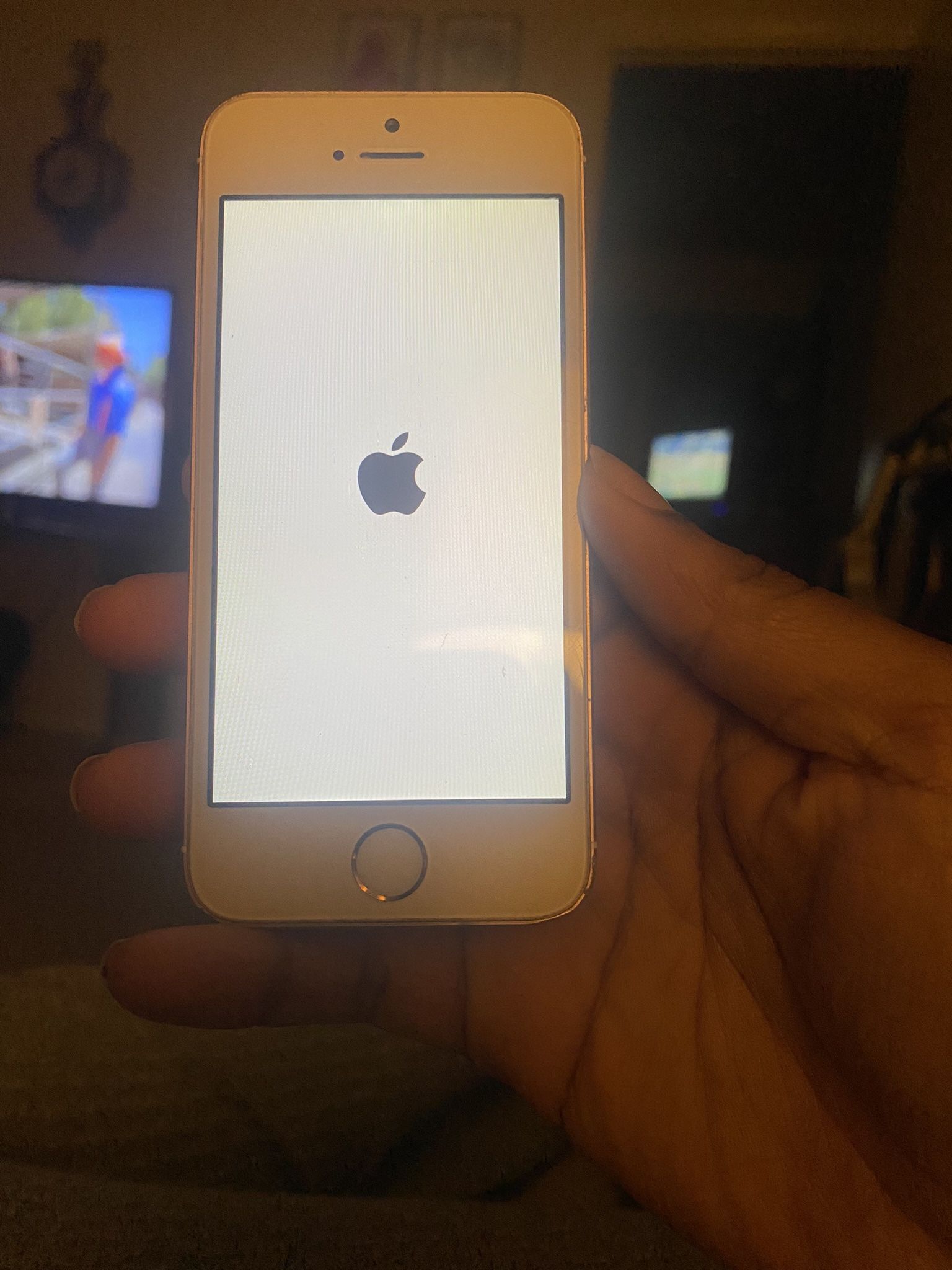 iPhone 5 Se