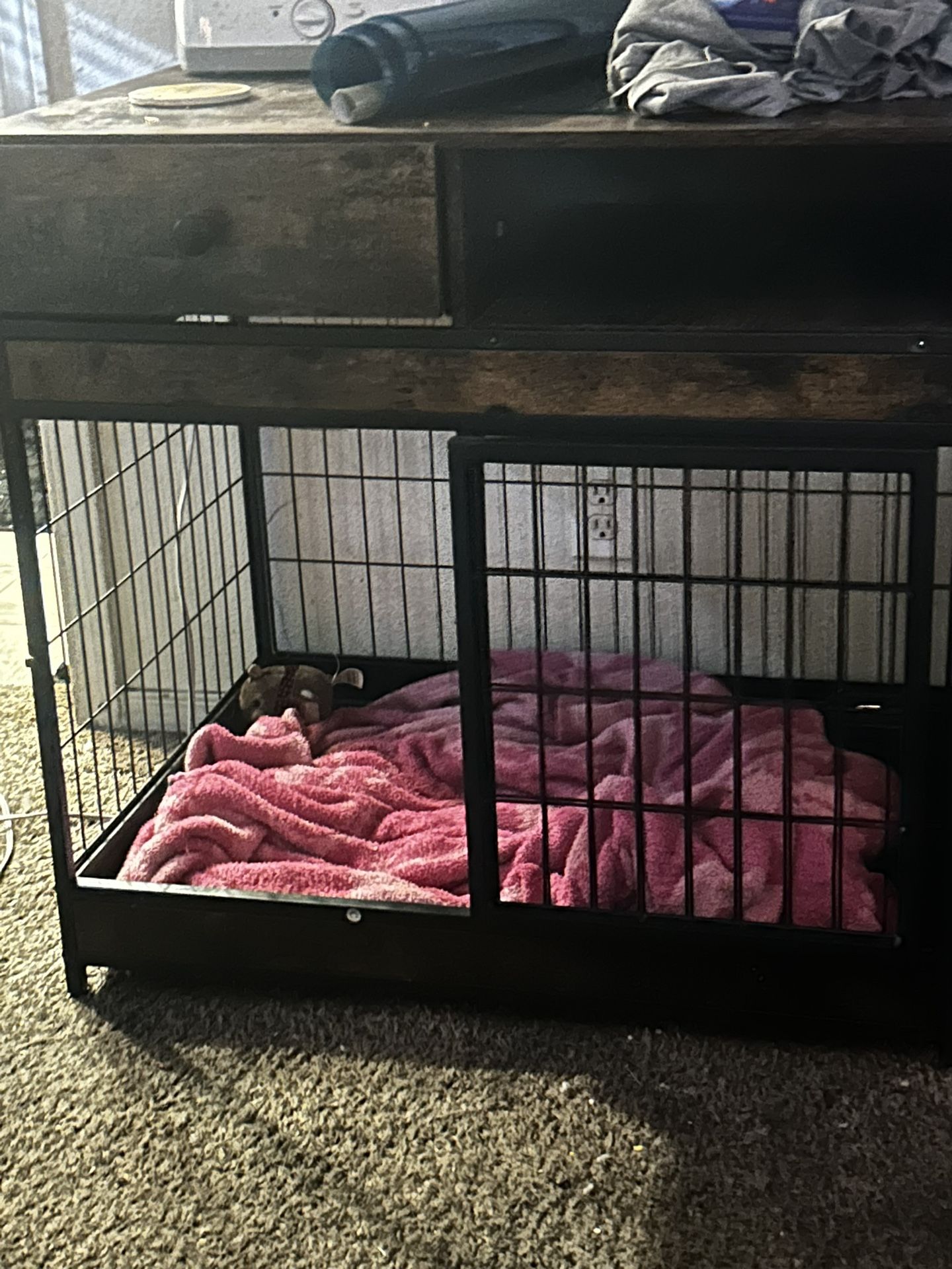2 Dog Kennels