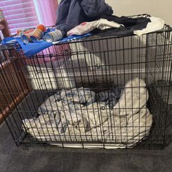 Large Dog Kennel