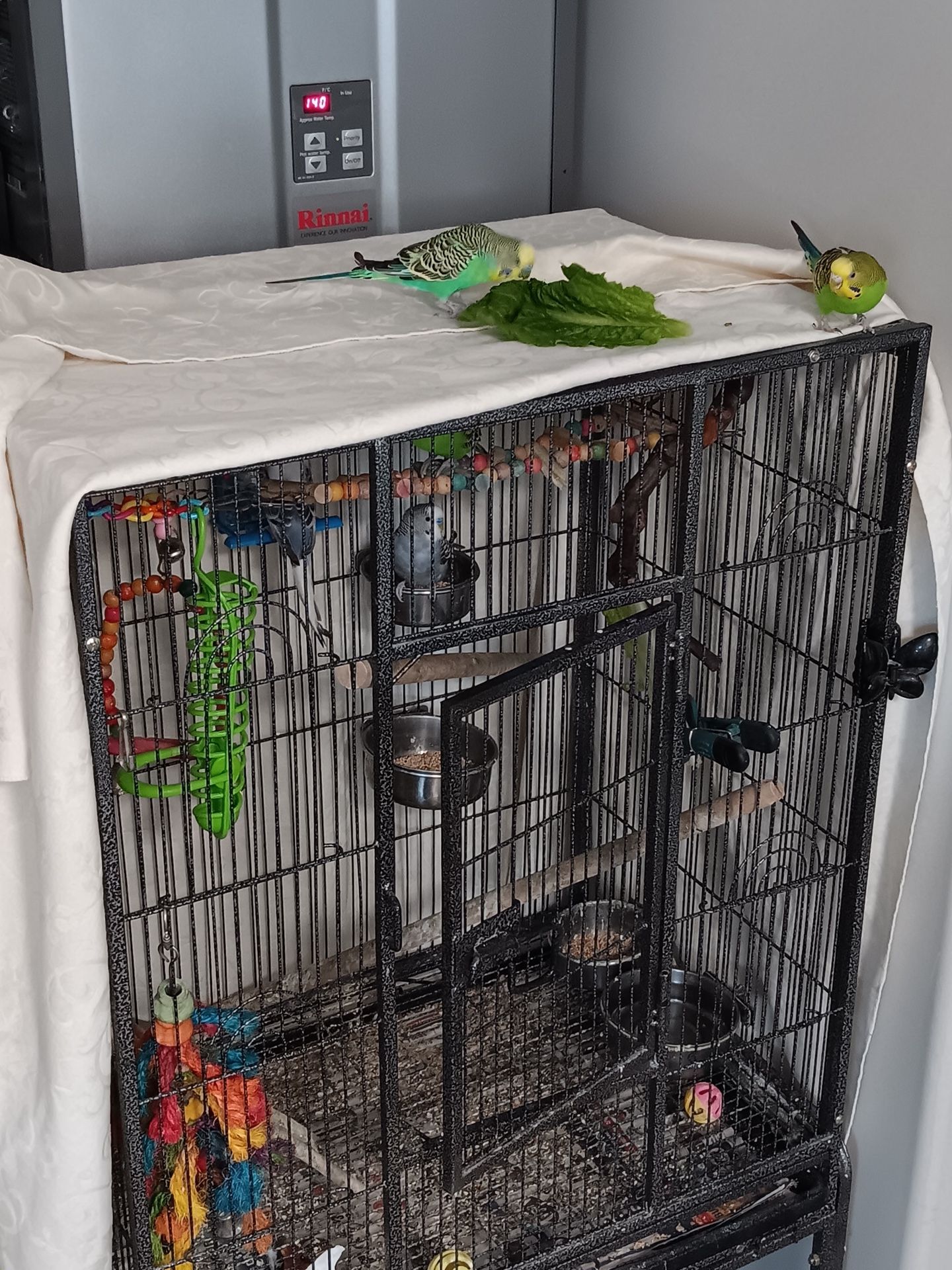 Large Birdcage With Wheels And Under Storage.